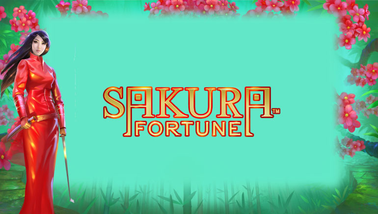 1xSlots Casino Zaslonski posnetek 5